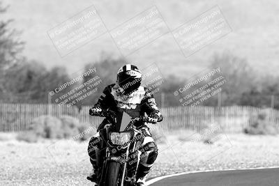 media/Nov-05-2022-SoCal Trackdays (Sat) [[f8d9b725ab]]/Track Exit (1120am)/